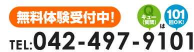 電話番号 042-497-9101